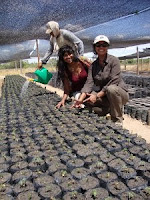 Tree Nursery