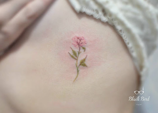 Este elegante pouco de rosa