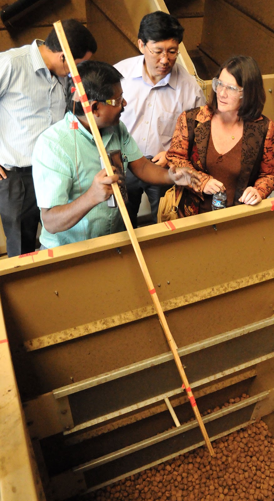 New Walnut Drying Technology Helps to Make the (Harvest) Season Bright