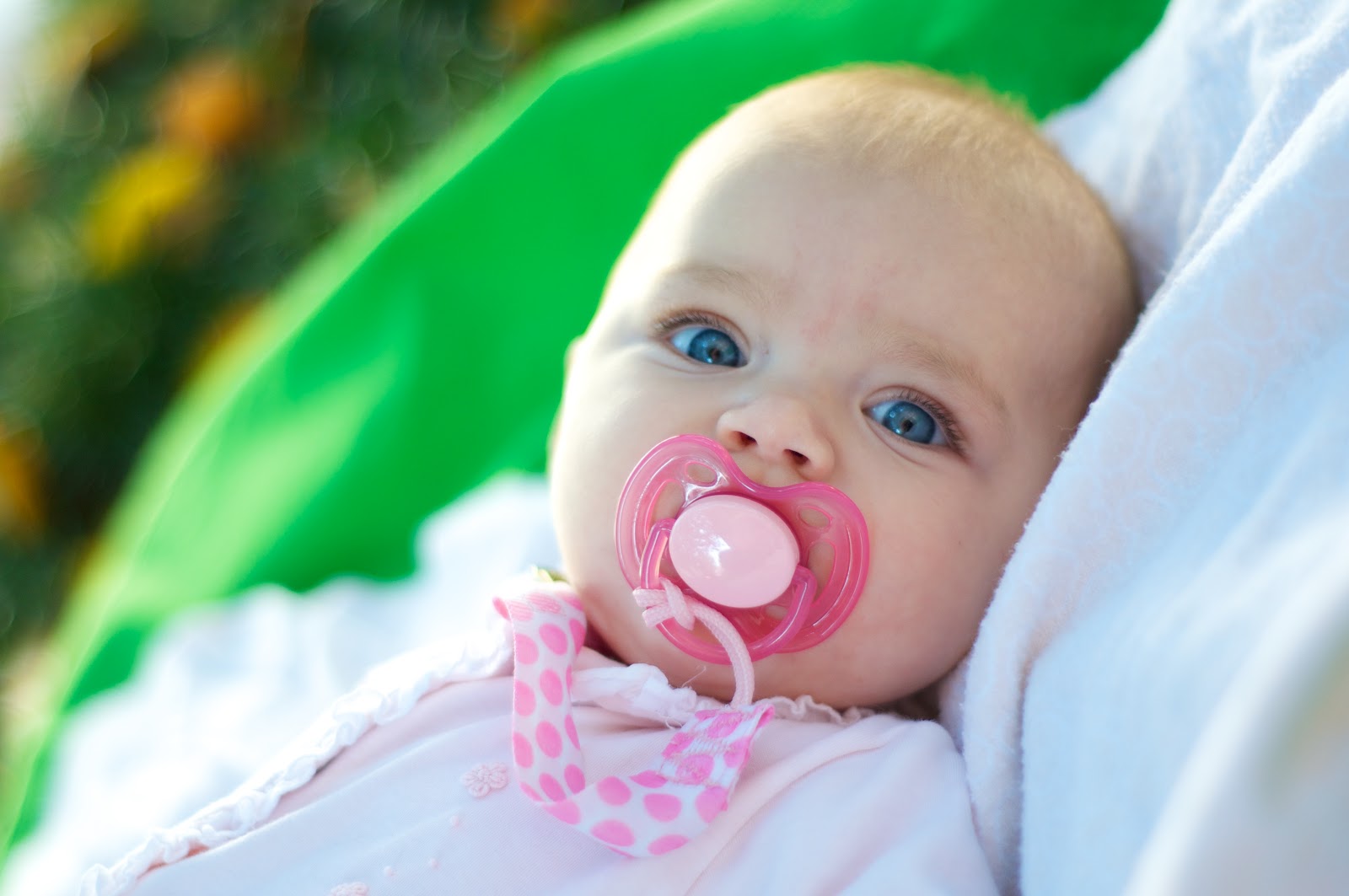 Family Snodgrass Retraction