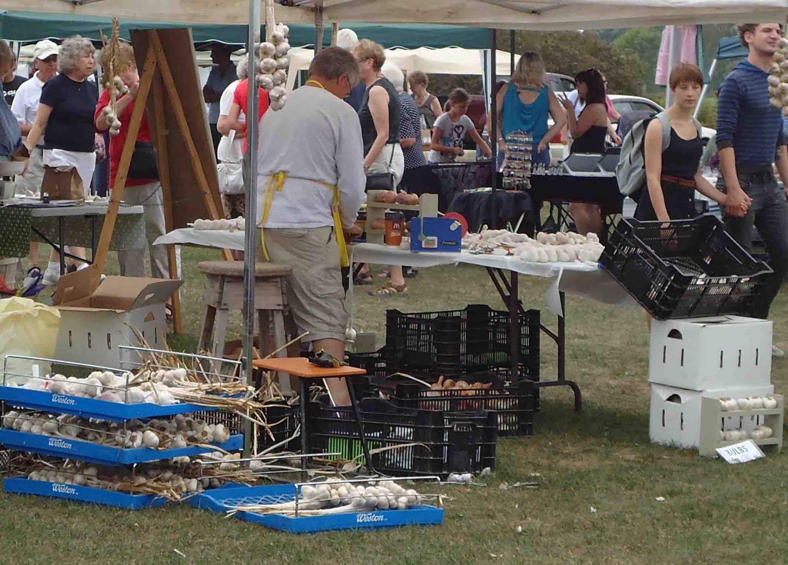 Small Purse, Big Garden The Verona Garlic Festival