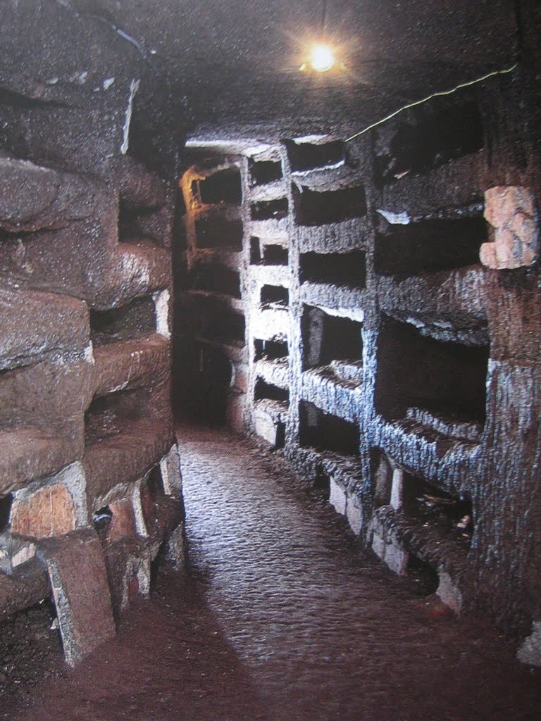 Maria Luisa De Gasperis LE DI PRISCILLA