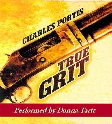 Anleitung Garageneinfahrt Pflastern