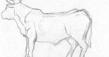 Artsarity: dibujando un toro