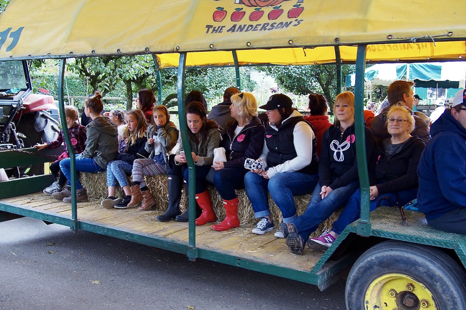 Aldor Acres Family Farm/ Pumpkin Patch Langley
