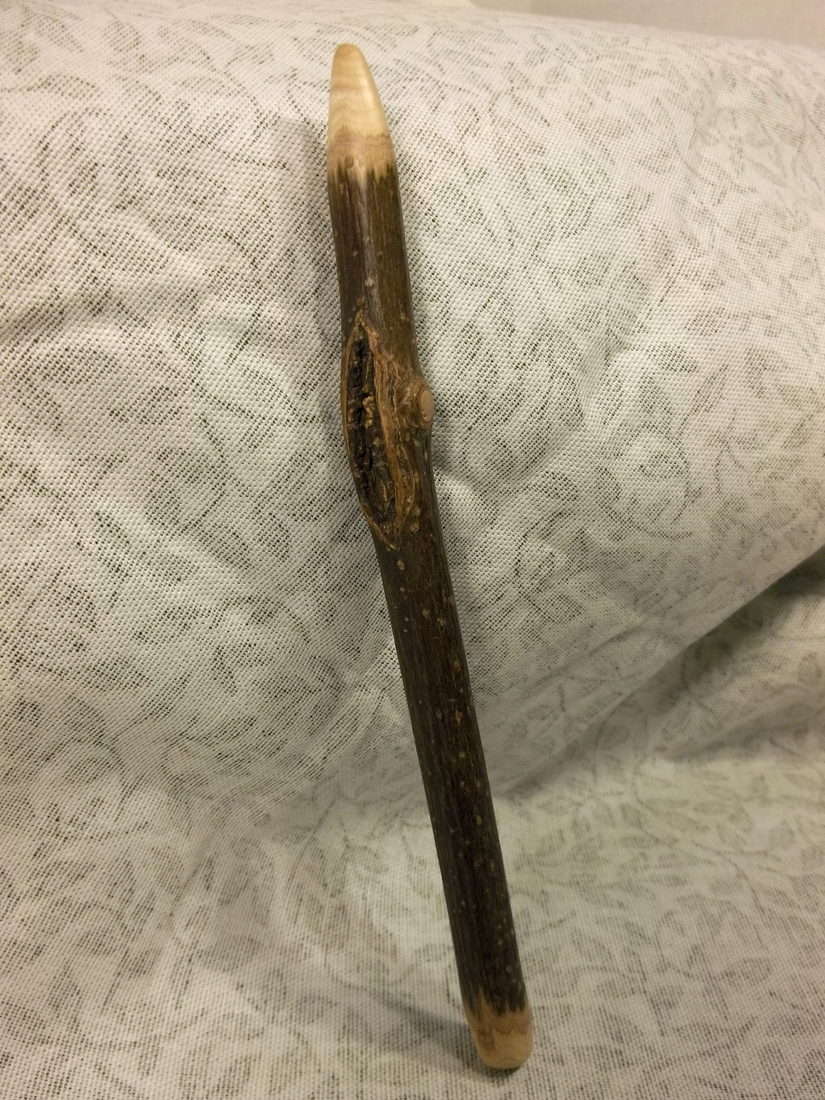 Wands by Tree: Sturdy Smooth Rustic Ash Wood Wand 10 plus inch