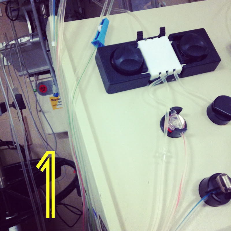 our daily obsessions: :: The Birthday Project