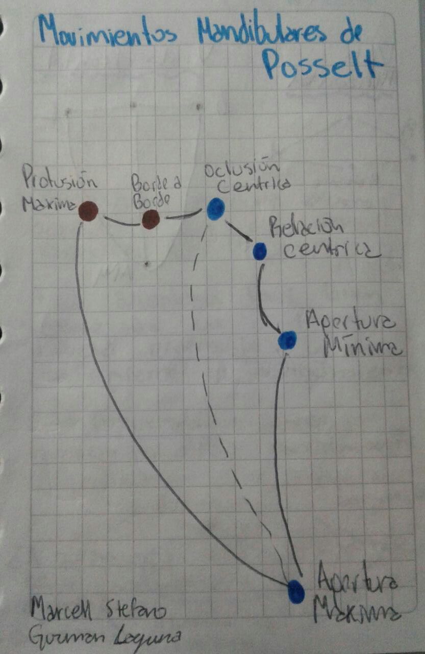 Marcell s Dentistry MANDIBULAR MOVEMENTS Posselt s Envelope Marcell s Dentistry MANDIBULAR MOVEMENTS Posselt s Envelope