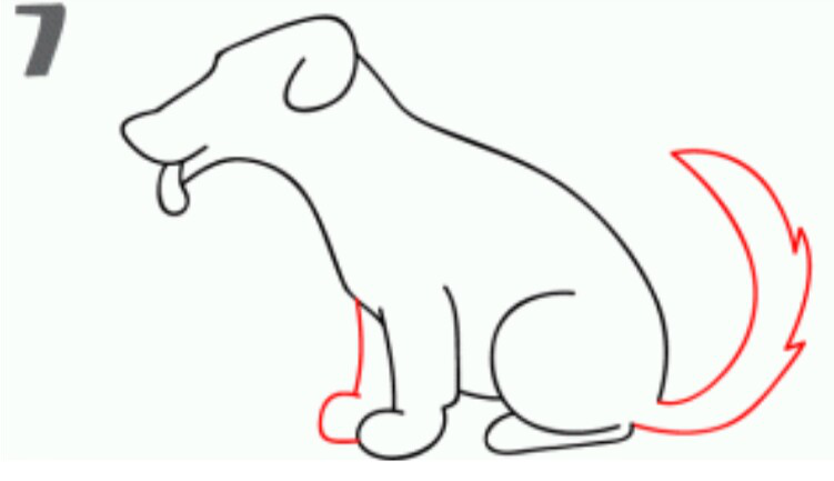 Infozani Menggambar Sketsa Anjing Sederhana