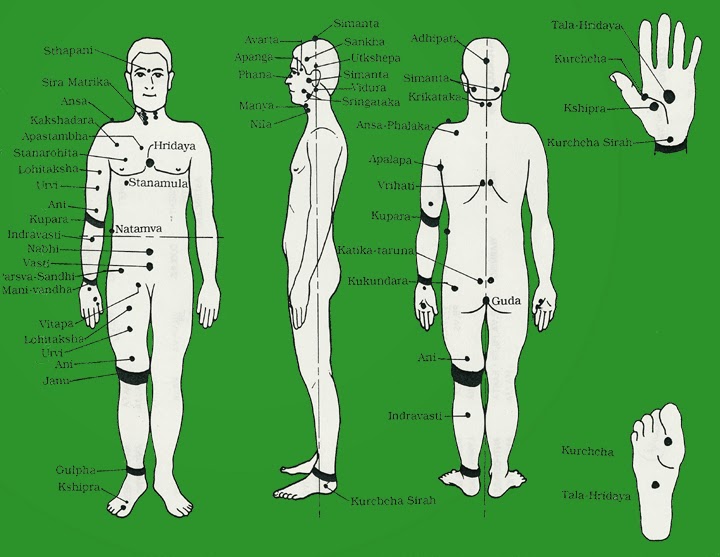 Названия точек человека. Карта болевых точек человека. Болевые точки на шее. Слабые точки человека. Точки мармы.