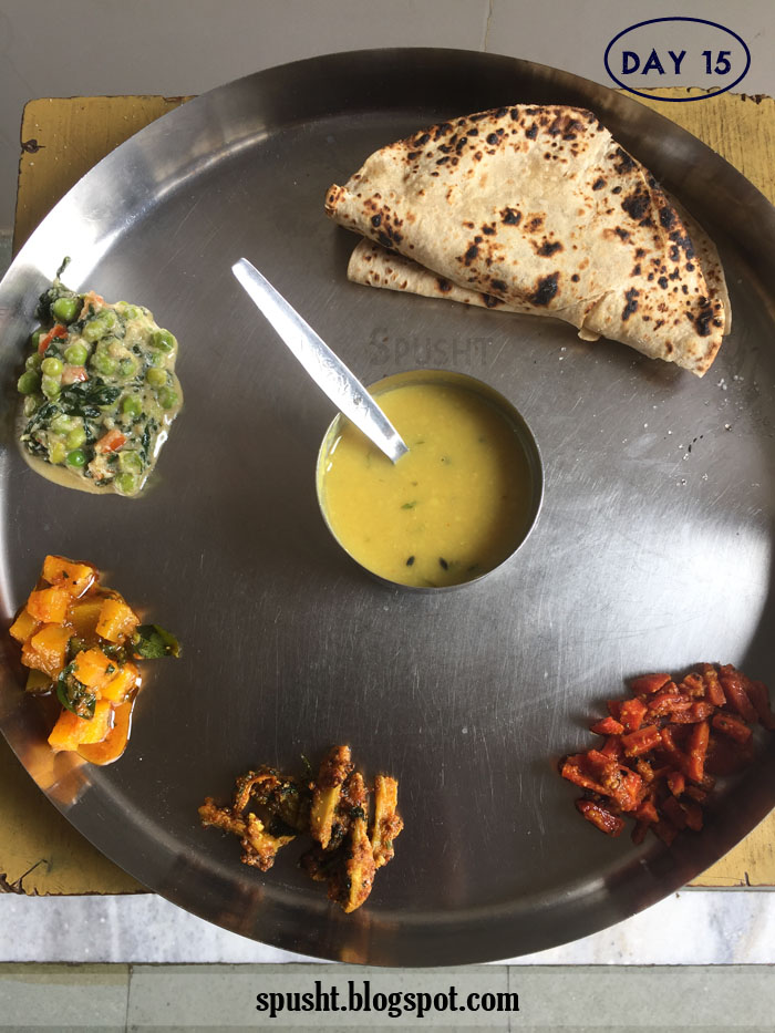 Spusht My Meals for a Month Vegetarian Indian Homemade Food