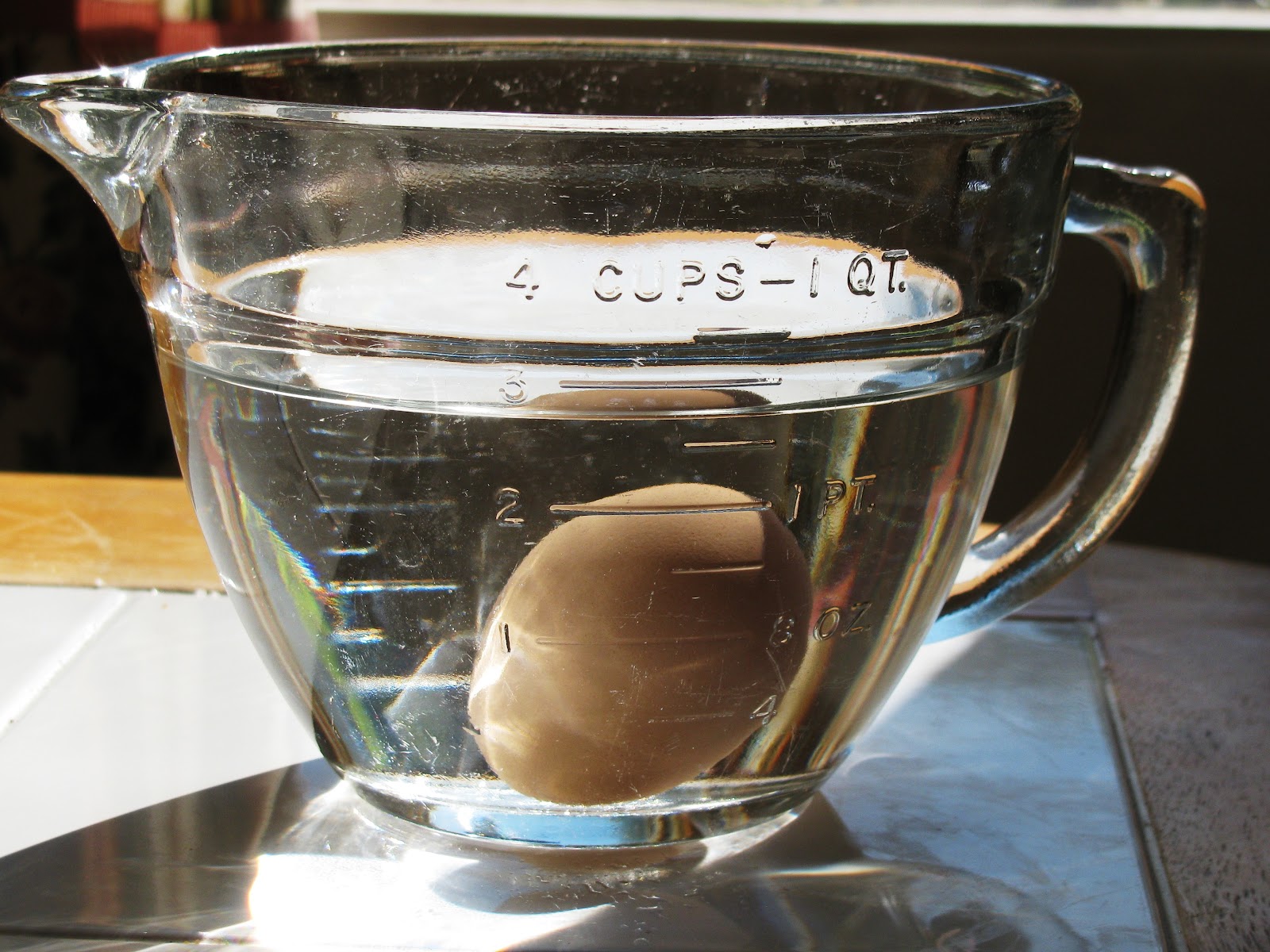 How to Tell When Eggs are Bad Proverbs 31 Woman