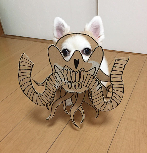 Creativos disfraces para tu mascota para esta noche de Halloween 2017