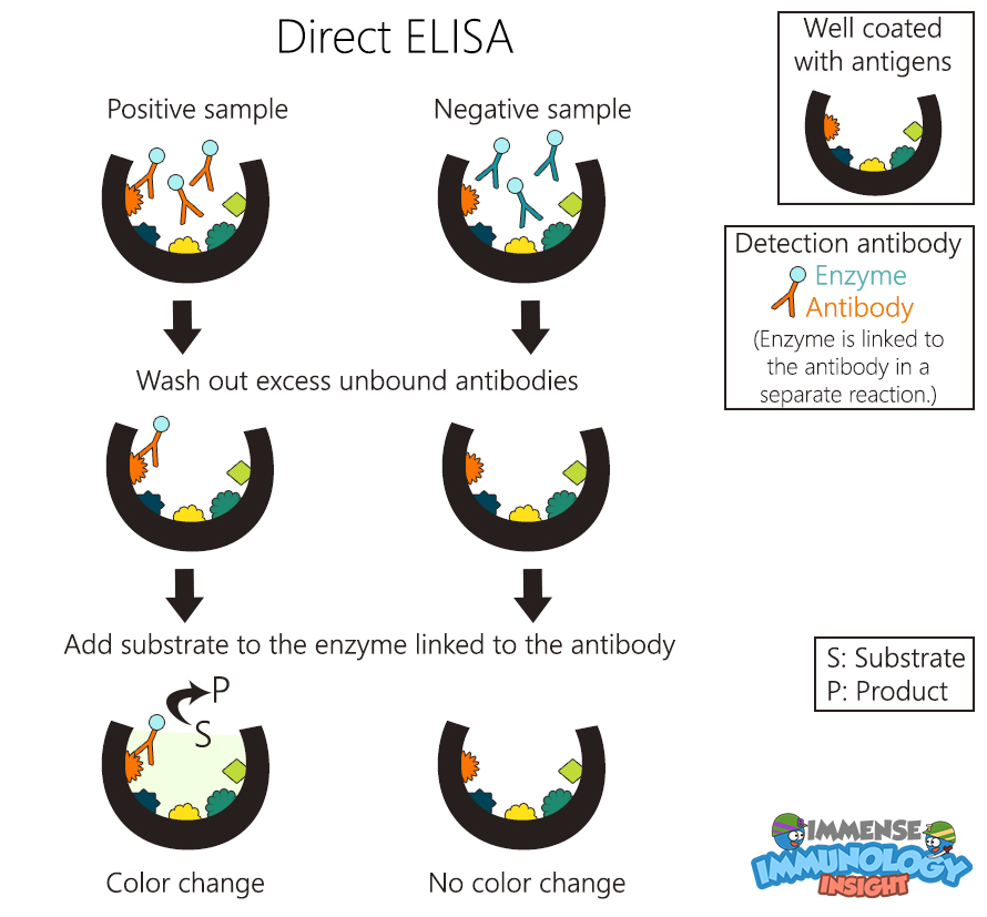 Immense Immunology Insight Direct ELISA