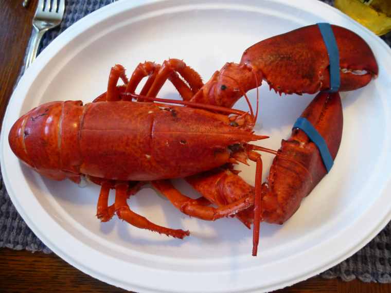 Life Outside the Swamp A Lobster Dinner