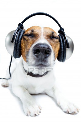 11993933-dog-listening-music-with-headphones.jpg