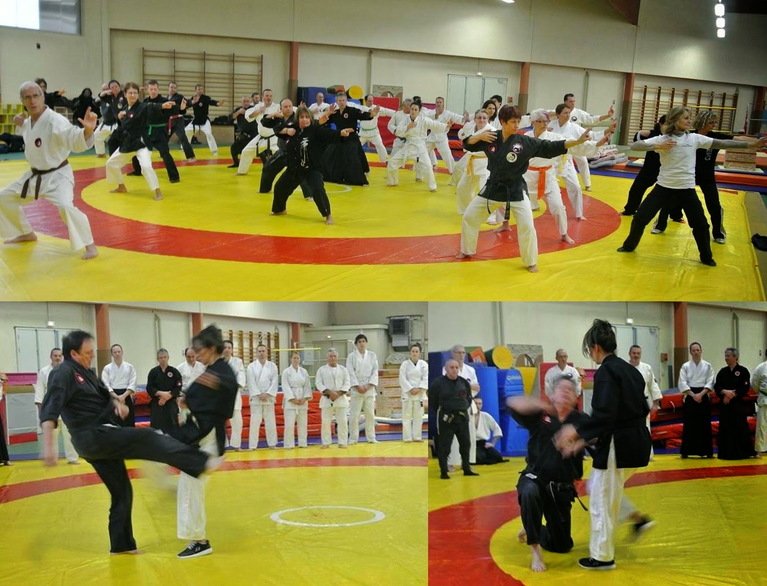 ARTS MARTIAUX YISEISHINDO MontceaulesMines Téléthon 2014 stage d