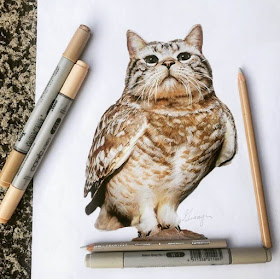 02-Barn-Owl-Cat-Guanyu-Animal-Mashup-www-designstack-co