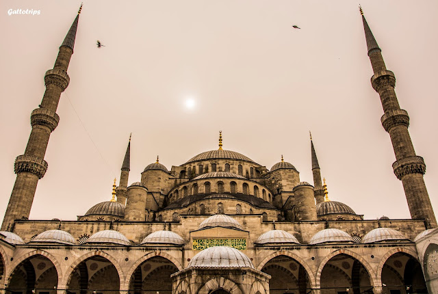 Estambul - Recuerdo de Constantinopla - Blogs de Turquia - Mezquita Azul, Palacio de Topkapi y Cisterna (1)