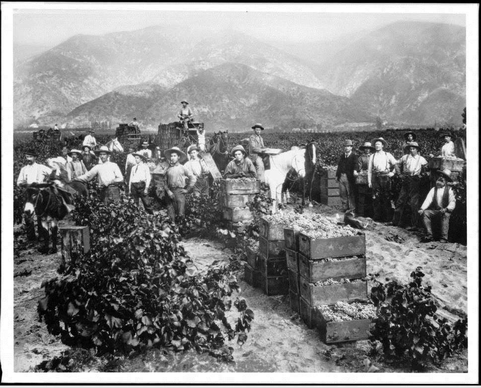 California Historical Society Celebrate California Wine Month!