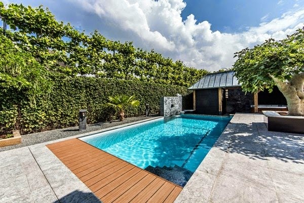 Spa facility and swimming pool in the garden