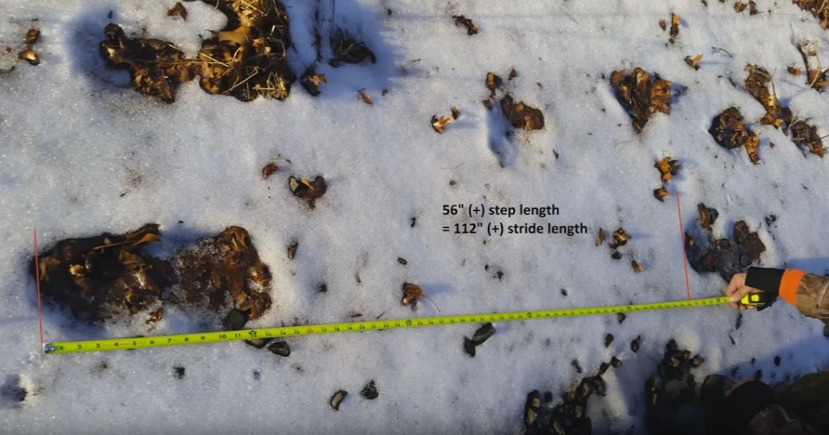 How Many Feet Is 112 Inches