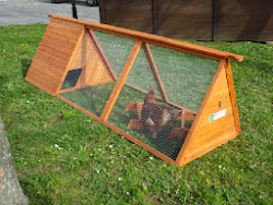 chicken coops coop cheap build plans simple building diy homemade freecycleusa portable