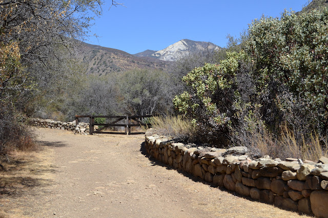 gate along the road