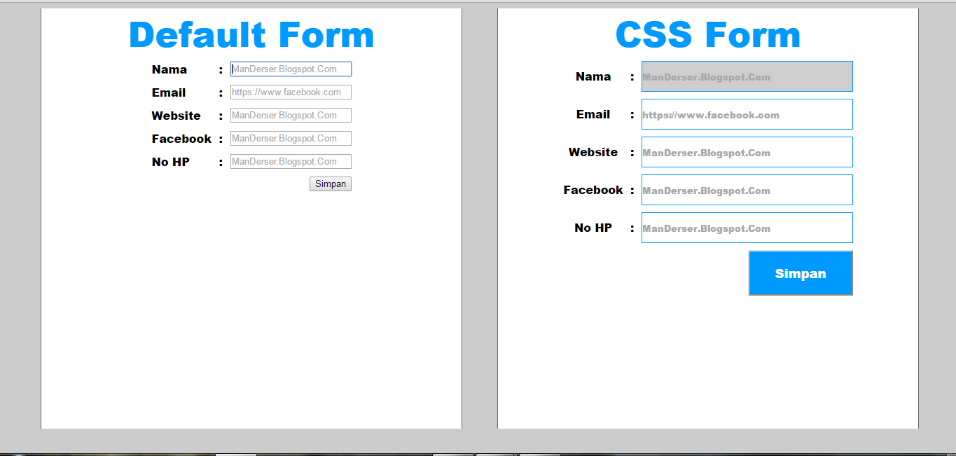 Cara Memperindah / Desain Form Dengan CSS - ManDerser