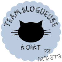 http://nailartiseasy.fr/team-blogueuse-chat/