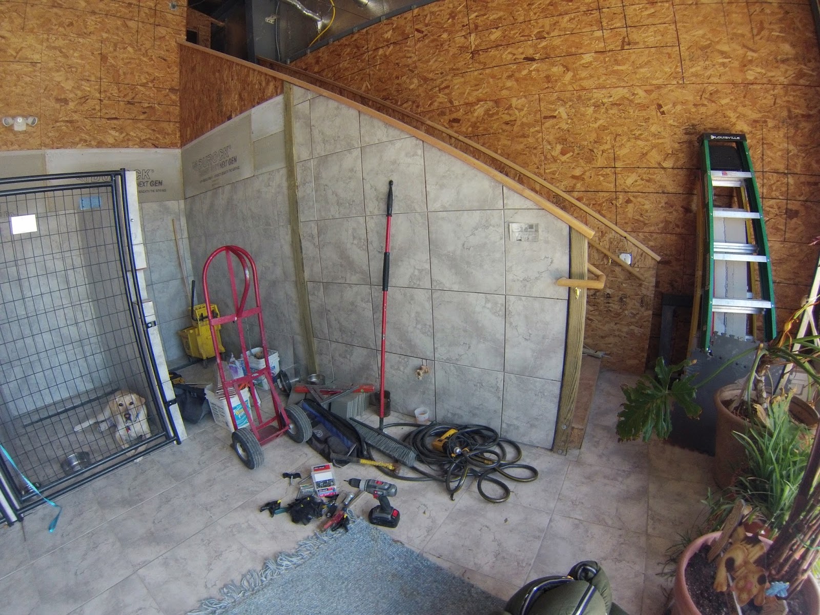 What Else Is Possible: June 2014