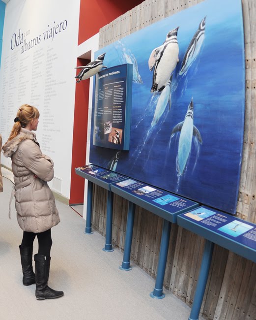 museo ecocentro puerto madryn muestra pingüinos
