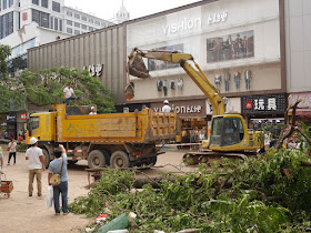 removing debris on the Lianhua Road Pedestrian street after Typhoon Hato