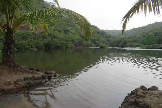 Sweet Water Lake near Arambol Beach Sweet Water Lake near Arambol Beach
