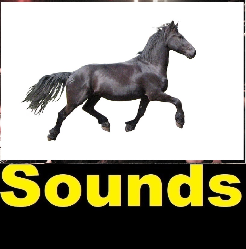 All Sound Effects horse sound effects