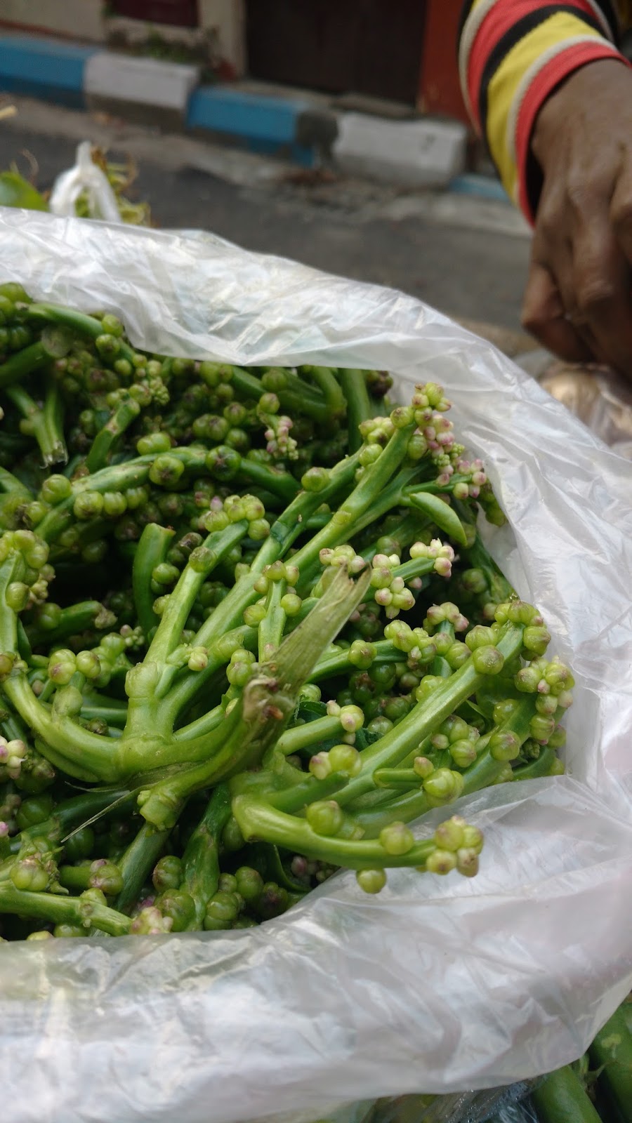 euphoRHEA Edible Flowers from the Bengali Kitchen
