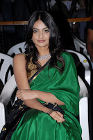 Its My Love Story Movie Audio Launch