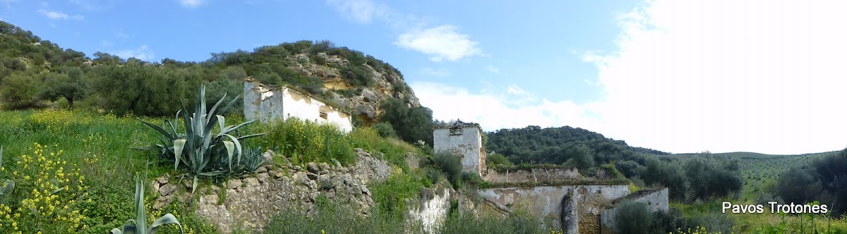 TROTONES BLOG Tajos de Mogarejo