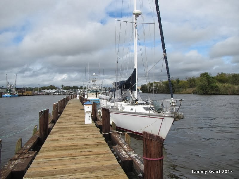 Things we did today... to Delcambre