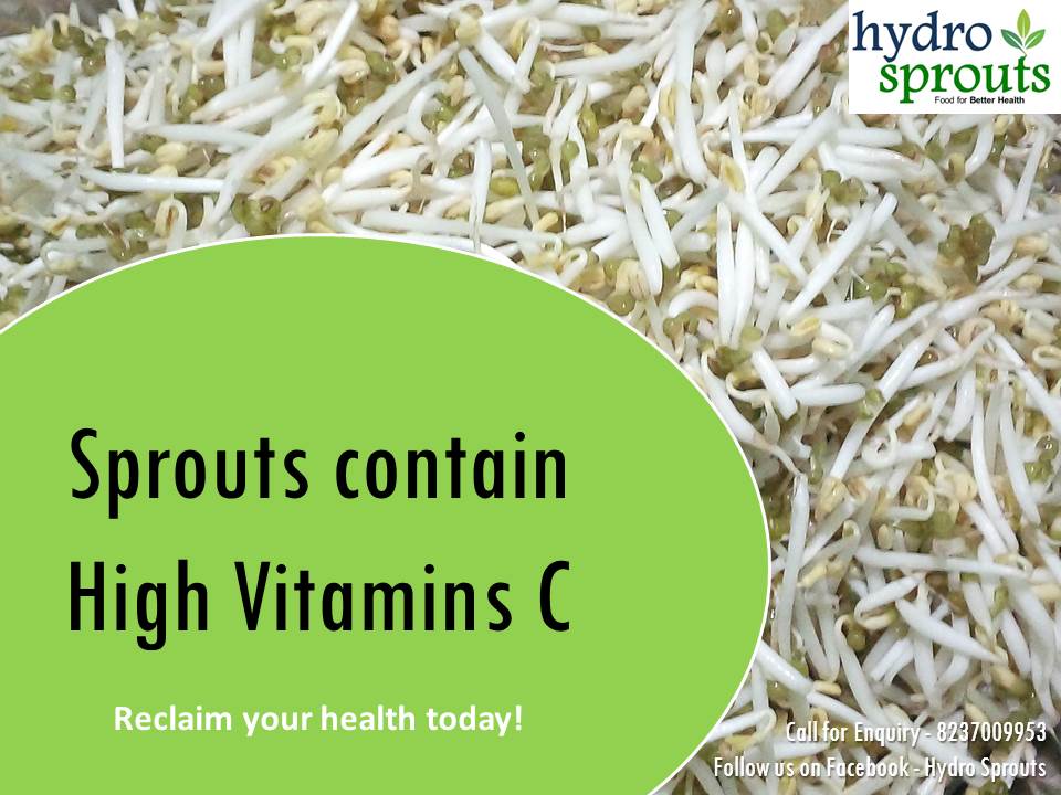 Sprouts contain High Vitamins C