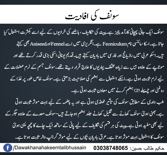 Health Benefits of Fennel in Urdu Dawakhana Hakeem Talib Hussain