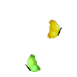 4145530fSvZCAIborboneuzacunha150.gif