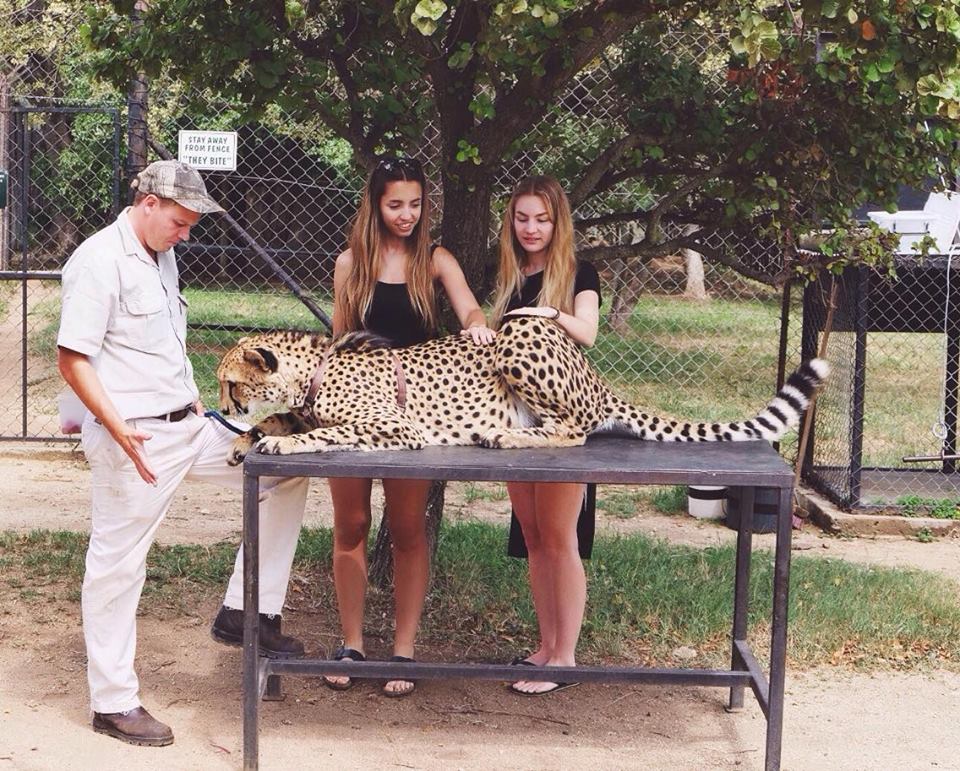 aroundtheworldin92days Wildlife Rehabilitation Center