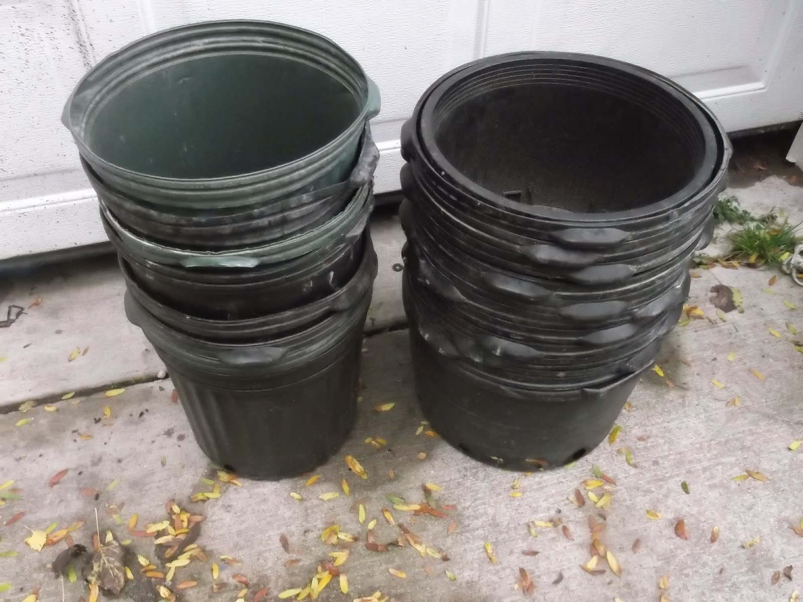 Eaton Rapids Joe Containers for Storing Potatoes