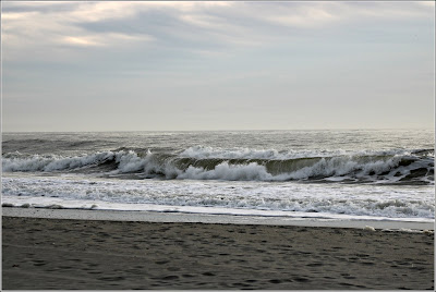 Waves on the shoreline