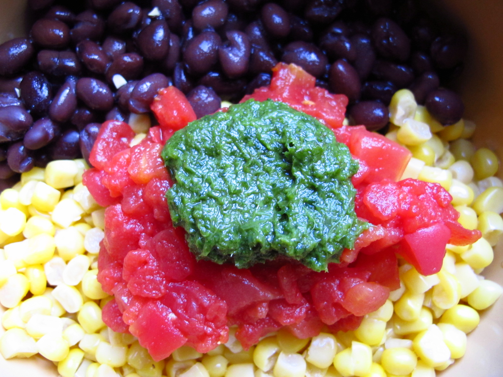 working for money Complete Protein Salad Black Bean and Corn Salad