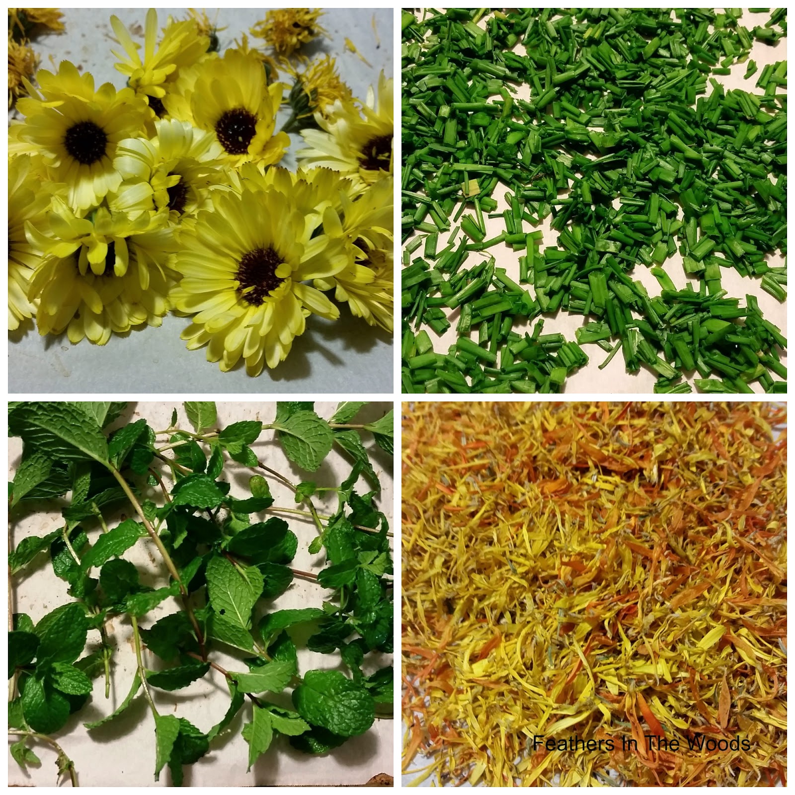 How to oven dry herbs Feathers in the woods