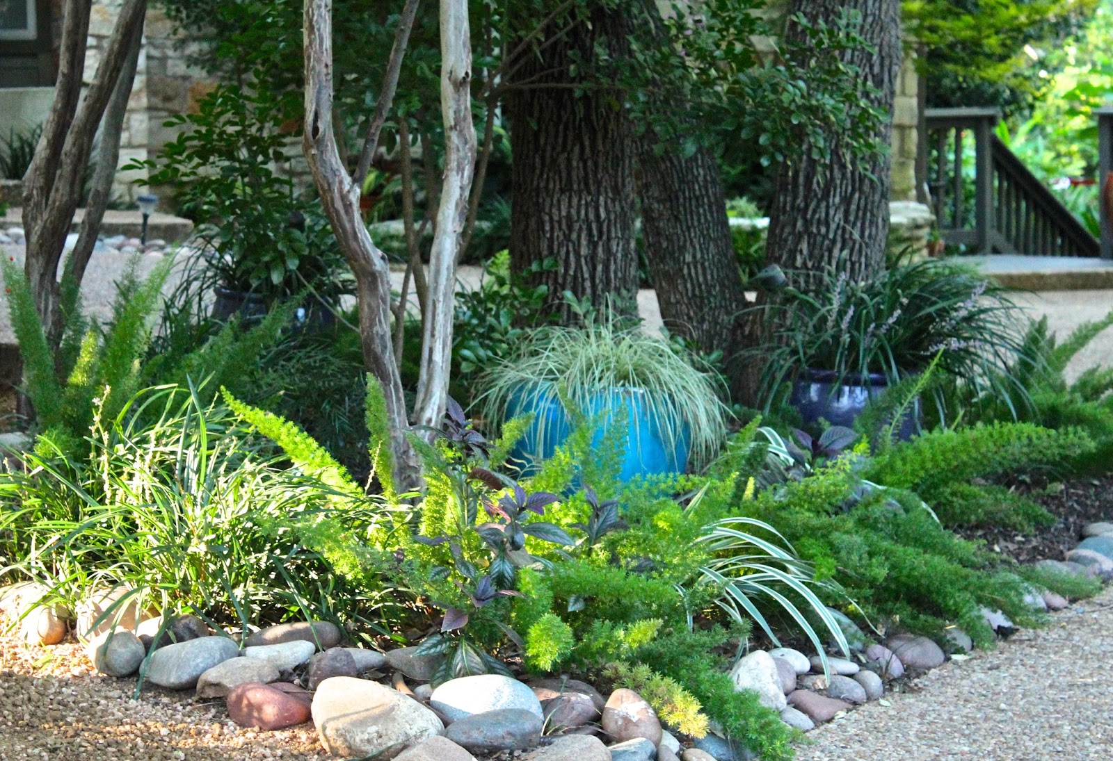 Sharing Nature's Garden Inside Austin Gardens tour showcases an oasis in Texas heat