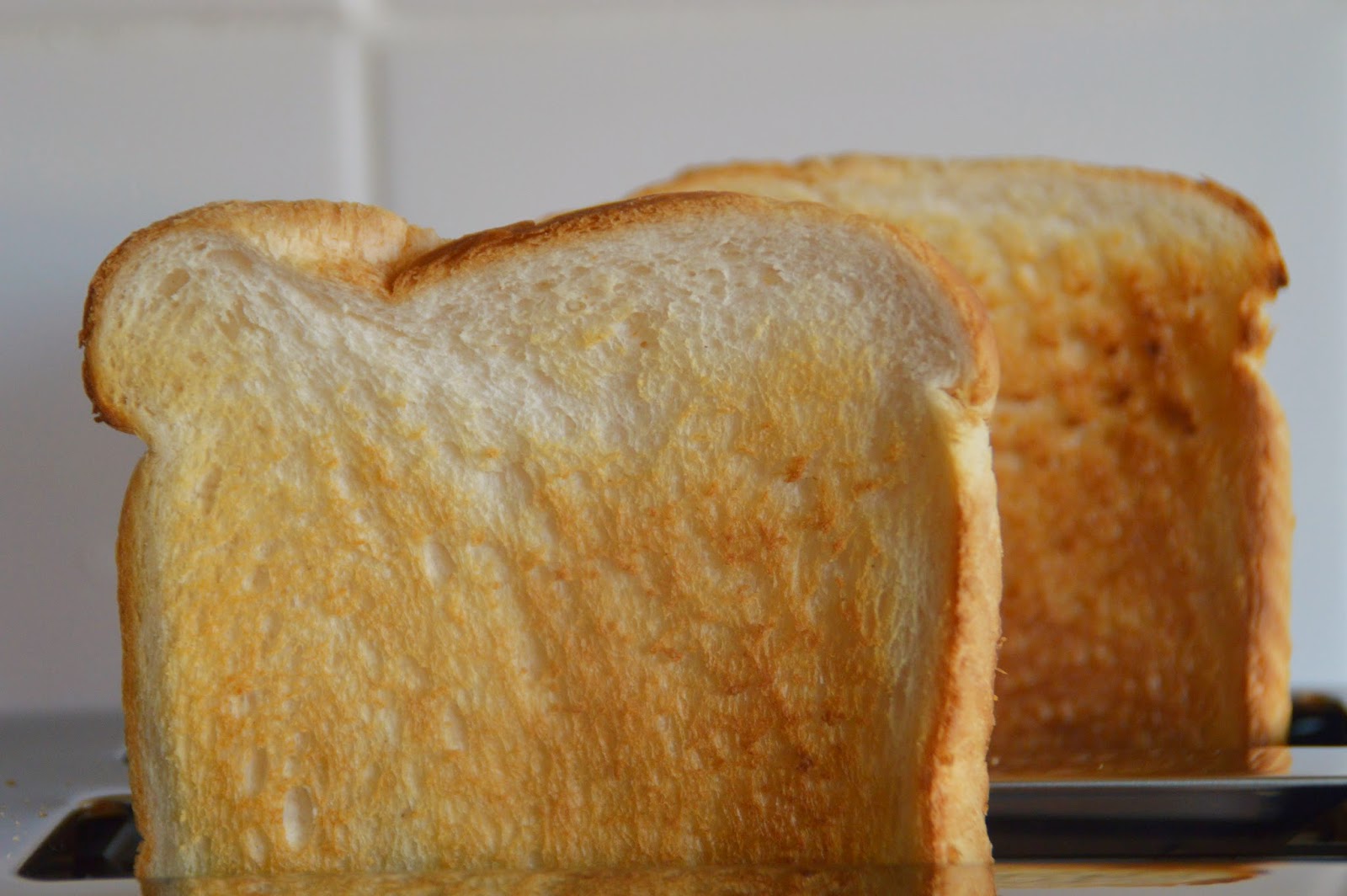 Breville Top Of the Toasters Diary of the EvansCrittens