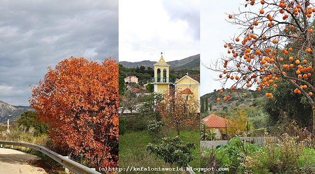 Winter colors of Kefalonia